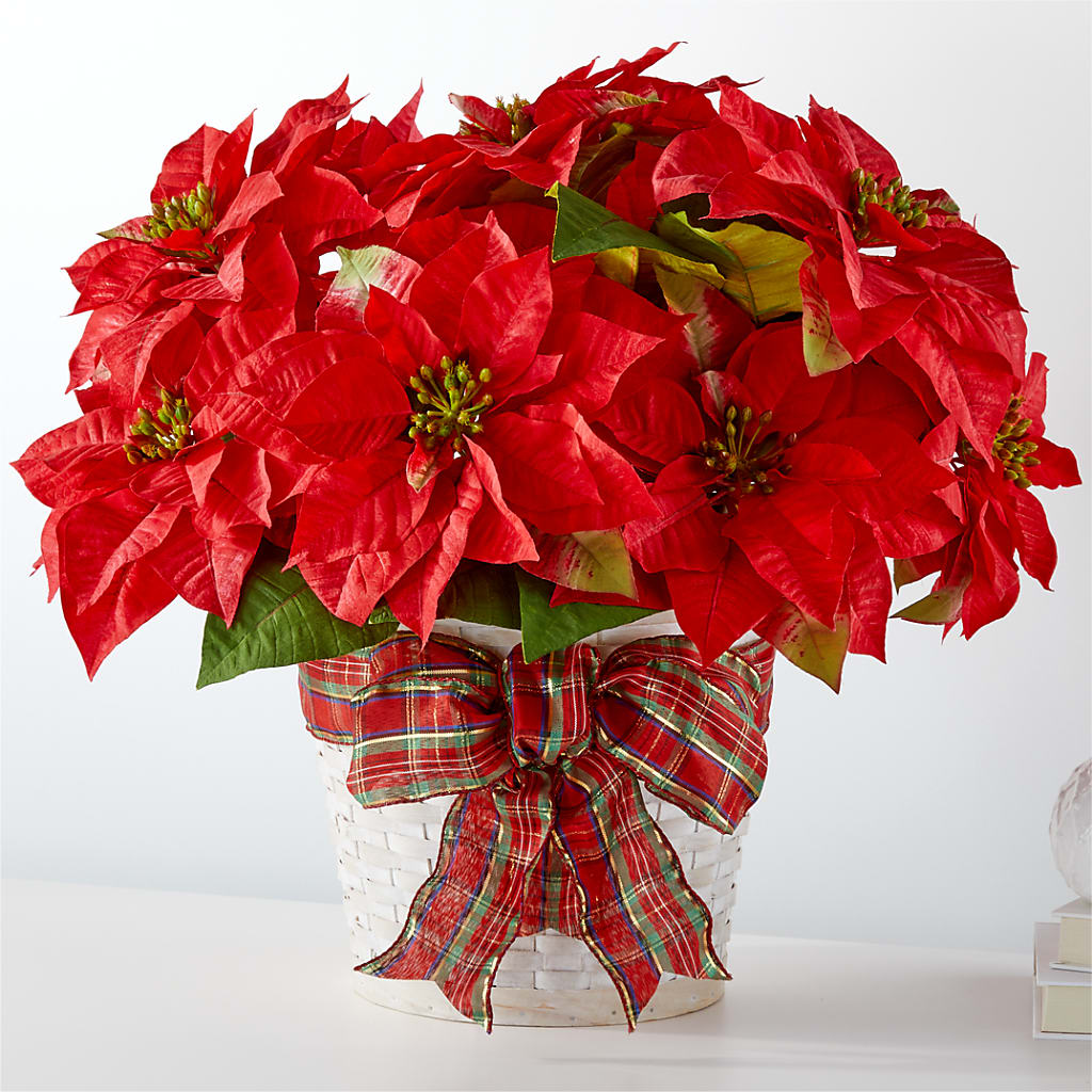 Happiest Holidays Poinsettia – MAIN STREET FLORIST & GIFTS, Ridgefield CT