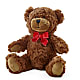 Adorable Plush Bear – MAIN STREET FLORIST & GIFTS, Ridgefield CT