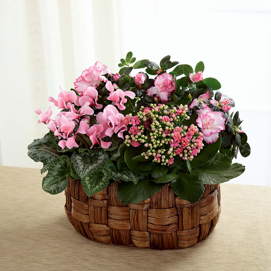 Pink Assortment – MAIN STREET FLORIST & GIFTS, Ridgefield CT