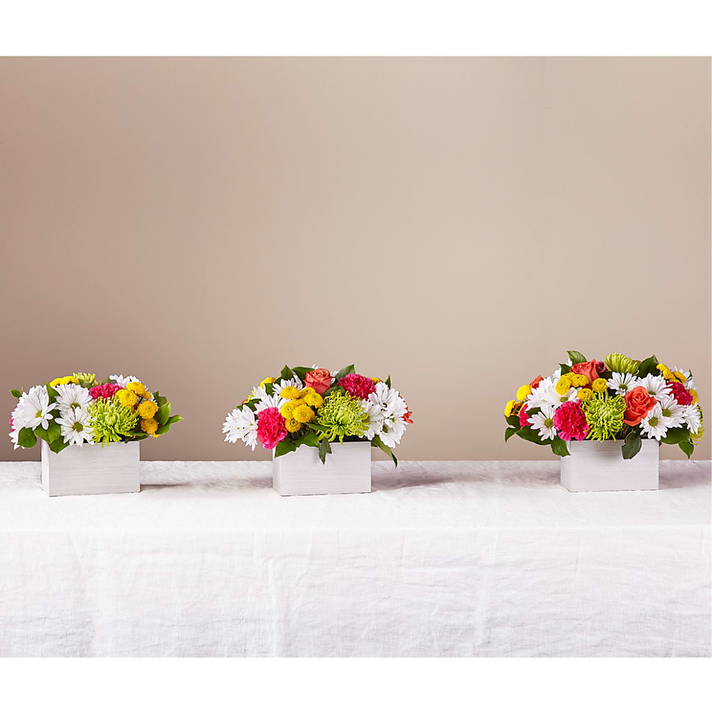 Sorbet Bouquet – MAIN STREET FLORIST & GIFTS, Ridgefield CT