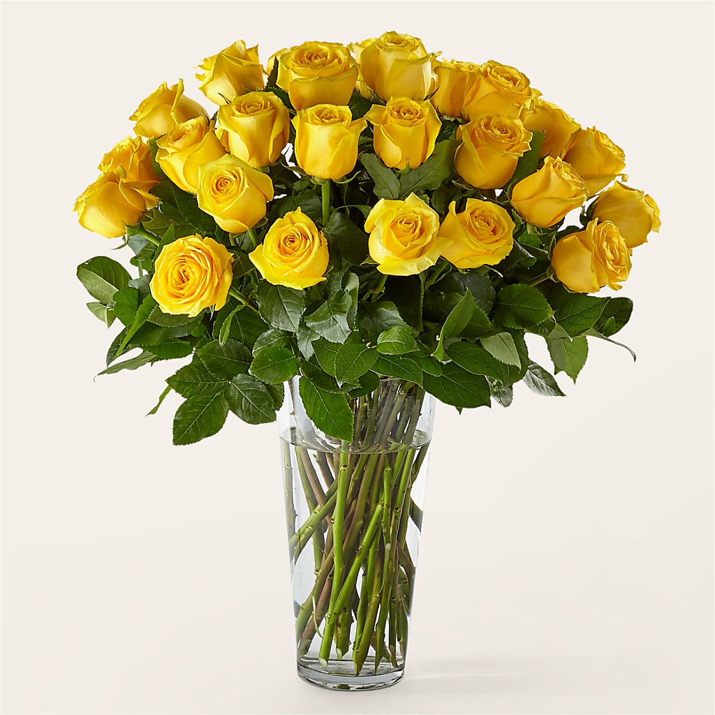 Long Stem Yellow Rose Bouquet – MAIN STREET FLORIST & GIFTS, Ridgefield CT