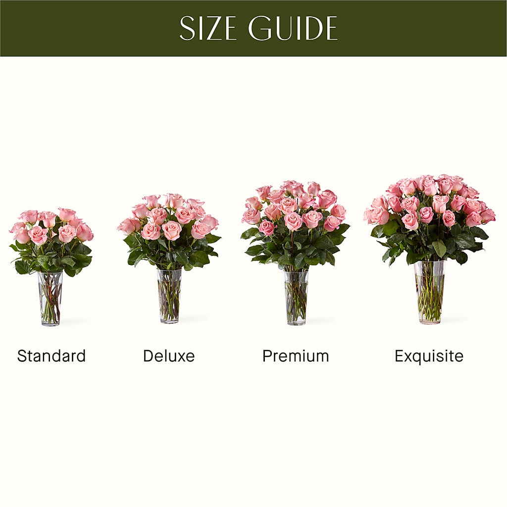 Long Stem Pink Rose Bouquet – MAIN STREET FLORIST & GIFTS, Ridgefield CT