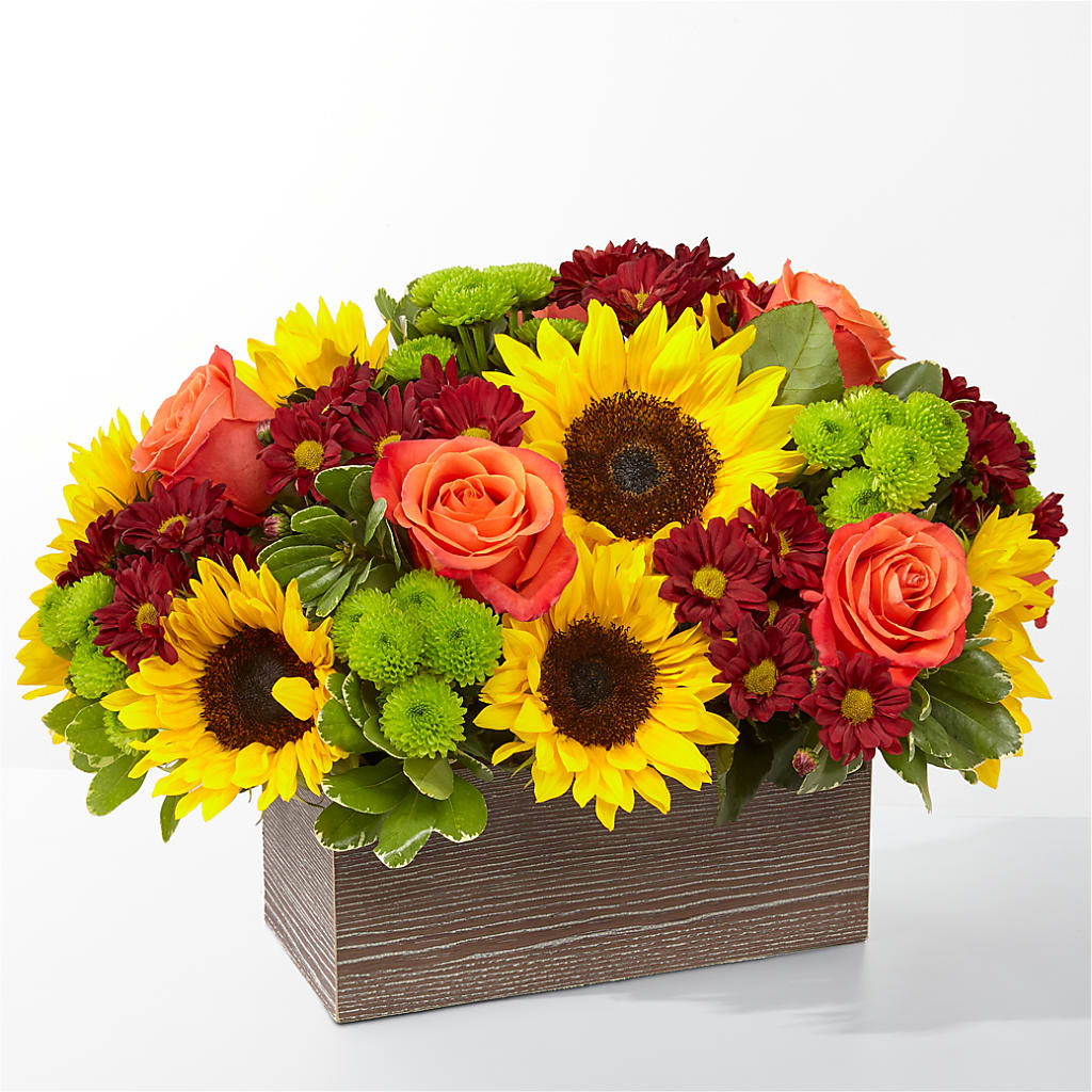 Happy Harvest Garden – MAIN STREET FLORIST & GIFTS, Ridgefield CT
