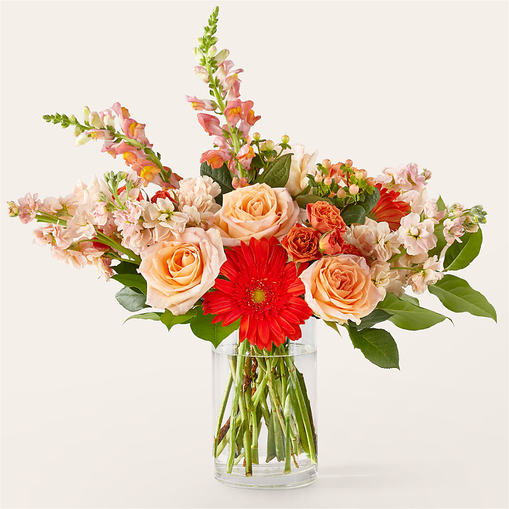Paloma Please Bouquet – MAIN STREET FLORIST & GIFTS, Ridgefield CT