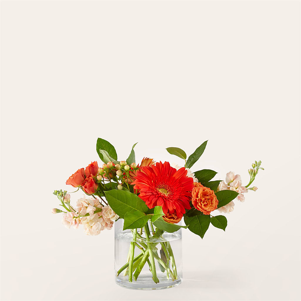 Paloma Please Bouquet – MAIN STREET FLORIST & GIFTS, Ridgefield CT