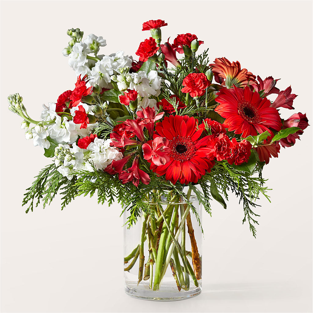 Holidaisy Bouquet – MAIN STREET FLORIST & GIFTS, Ridgefield CT