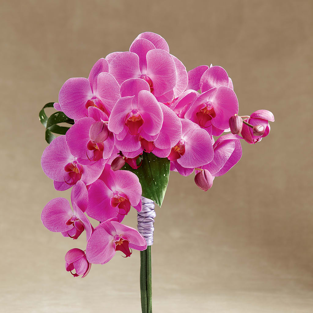 Glorious Bouquet – MAIN STREET FLORIST & GIFTS, Ridgefield CT