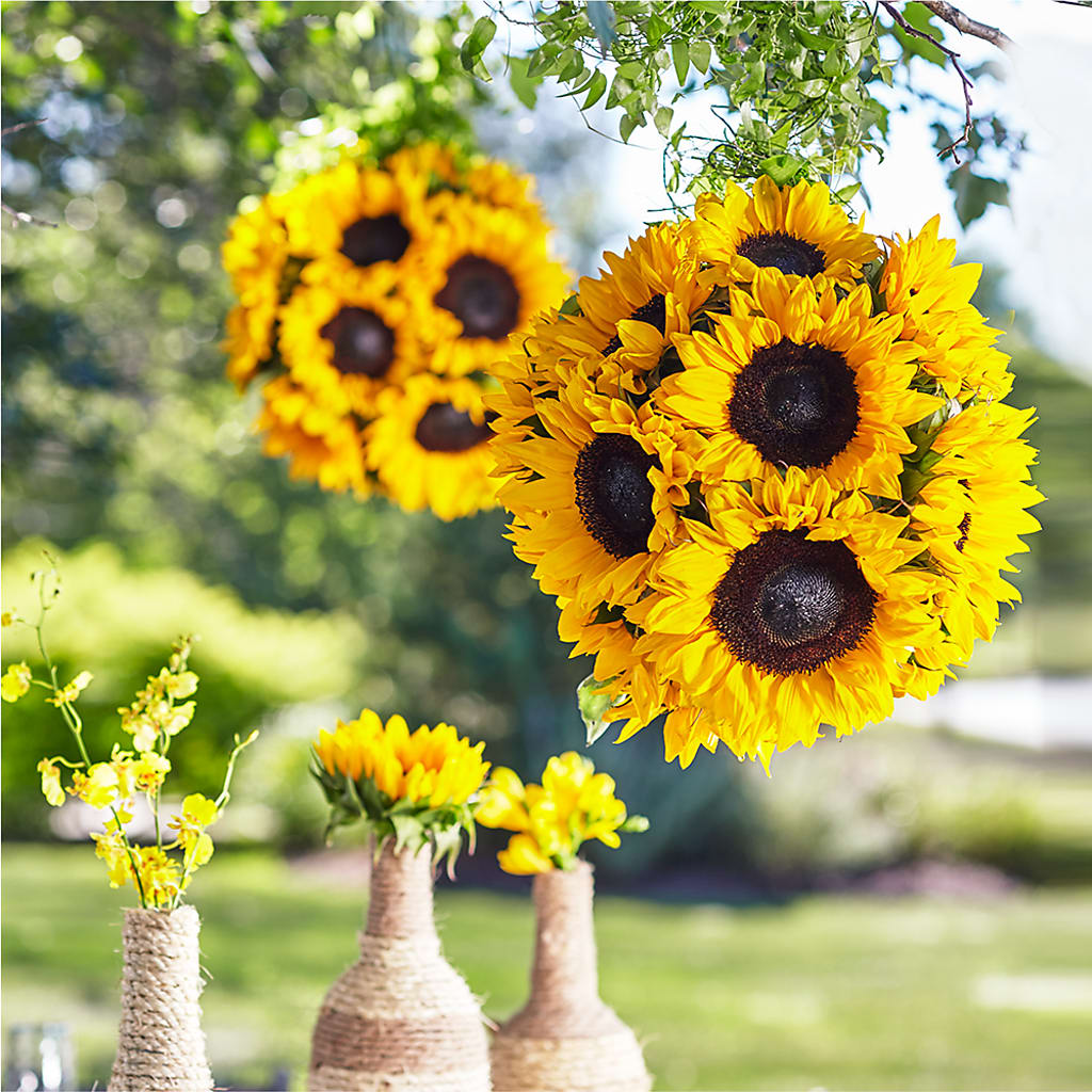 Sublime Garden Hanging Arrangement – MAIN STREET FLORIST & GIFTS, Ridgefield CT