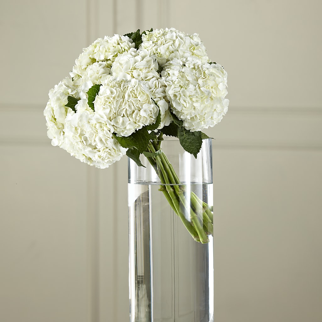 White Hydrangea Hand-Tied Bouquet – MAIN STREET FLORIST & GIFTS, Ridgefield CT