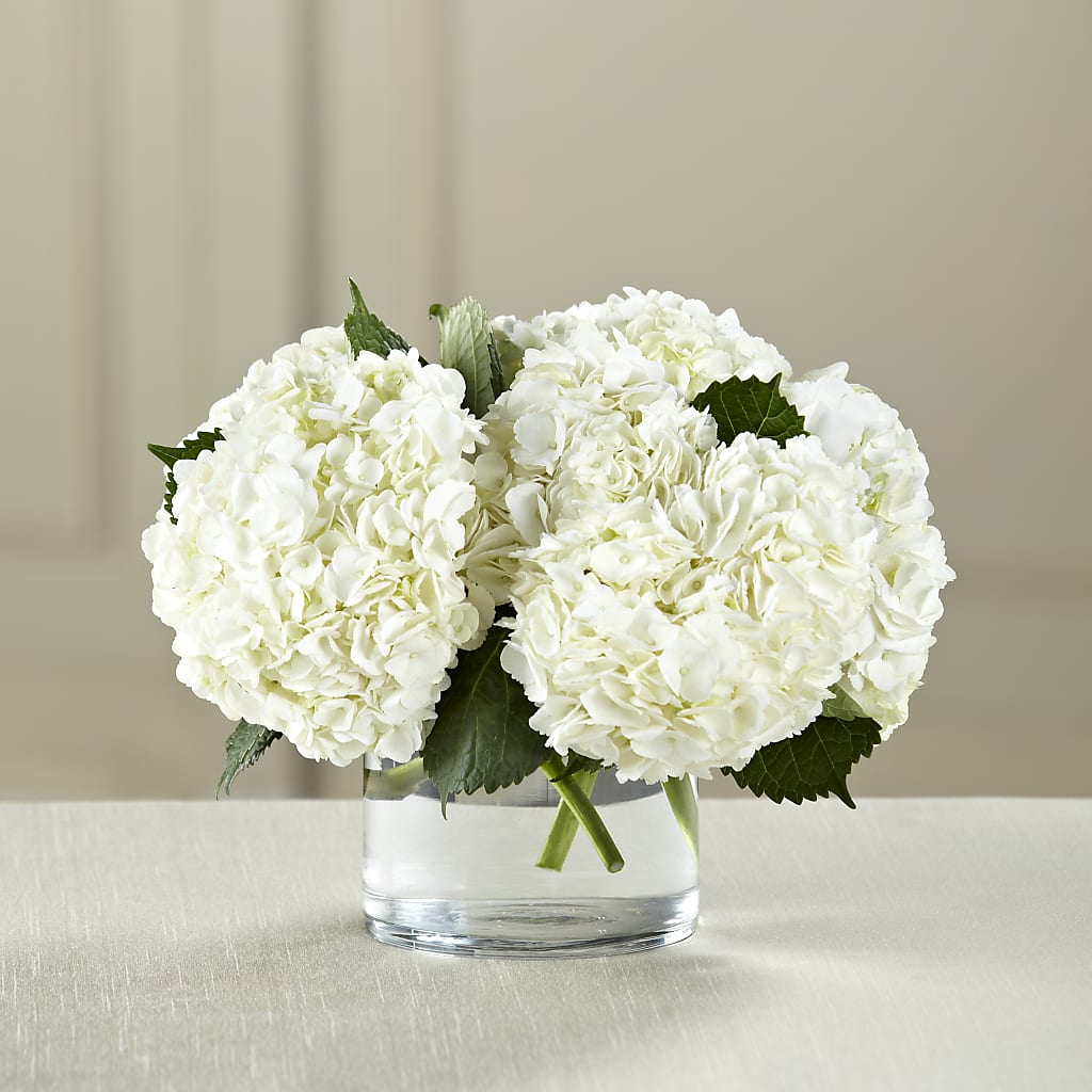 White Hydrangea Bouquet – MAIN STREET FLORIST & GIFTS, Ridgefield CT