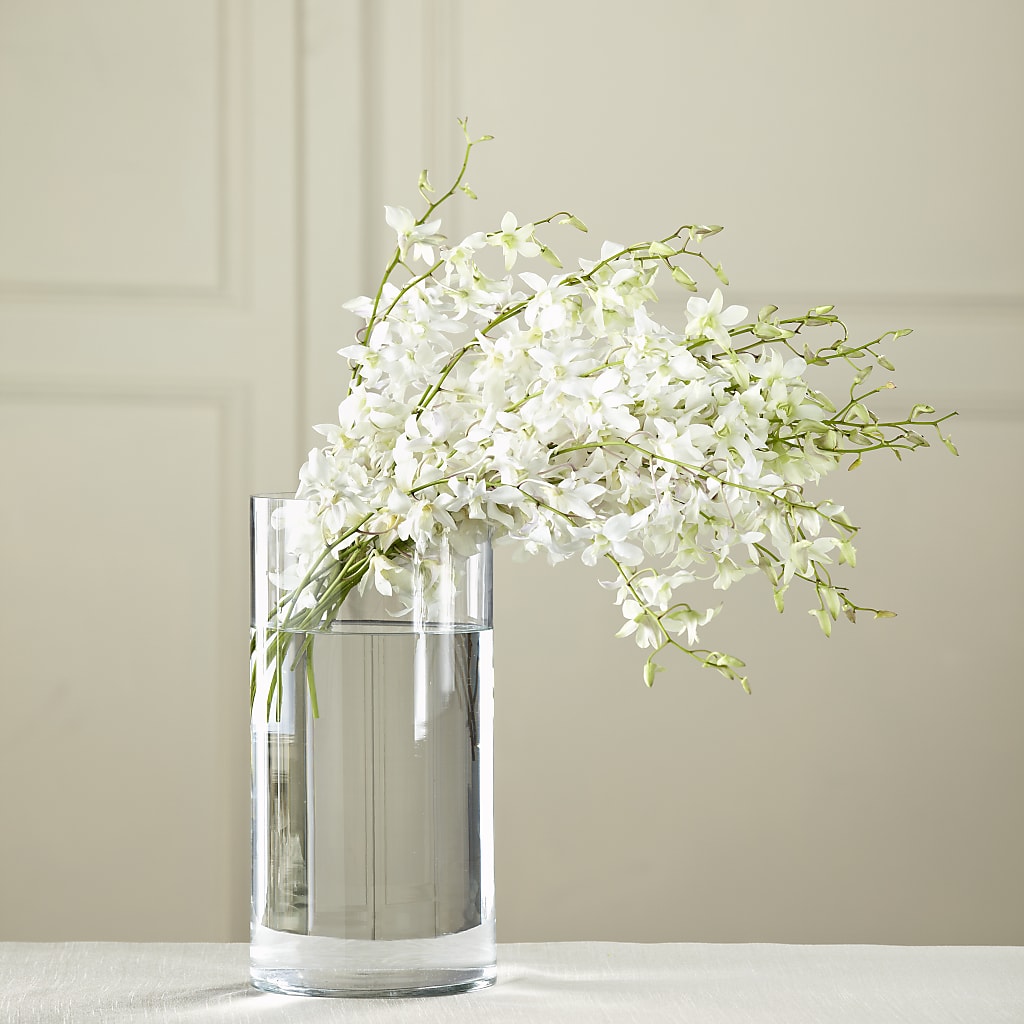 White Dendrobium Bouquet – MAIN STREET FLORIST & GIFTS, Ridgefield CT