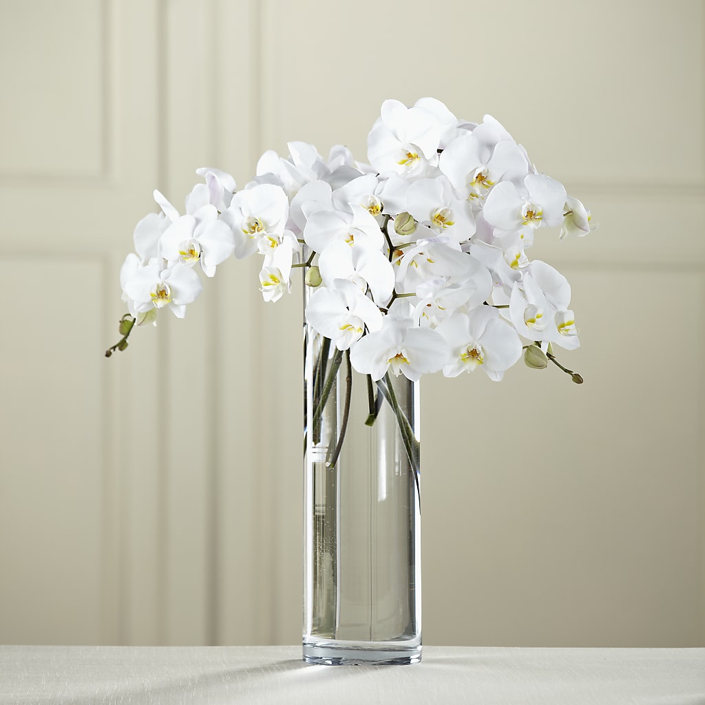 White Phalaenopsis Bouquet – MAIN STREET FLORIST & GIFTS, Ridgefield CT