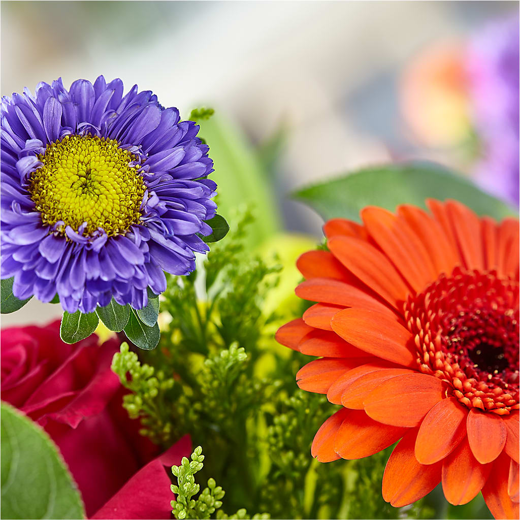 Bold & Bright – A Florist Original – MAIN STREET FLORIST & GIFTS, Ridgefield CT