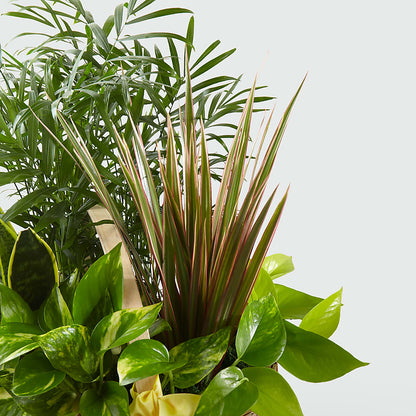 French Garden – MAIN STREET FLORIST & GIFTS, Ridgefield CT