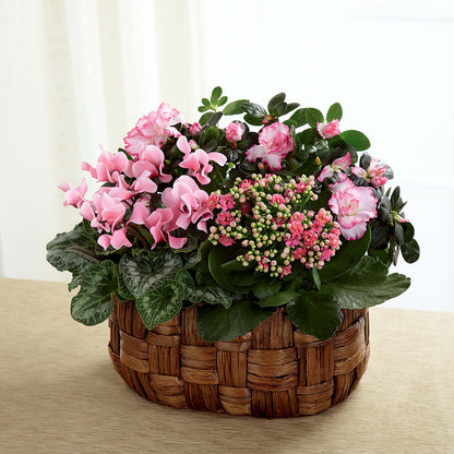 Pink Assortment – MAIN STREET FLORIST & GIFTS, Ridgefield CT
