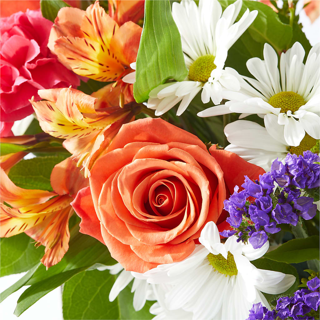 Oopsie Daisy Box Bouquet – MAIN STREET FLORIST & GIFTS, Ridgefield CT