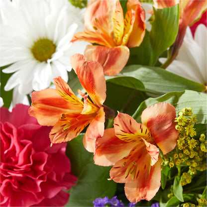 Oopsie Daisy Box Bouquet – MAIN STREET FLORIST & GIFTS, Ridgefield CT