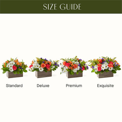 Oopsie Daisy Box Bouquet – MAIN STREET FLORIST & GIFTS, Ridgefield CT