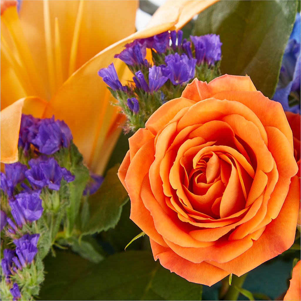 Radiant Citrus Box Bouquet – MAIN STREET FLORIST & GIFTS, Ridgefield CT