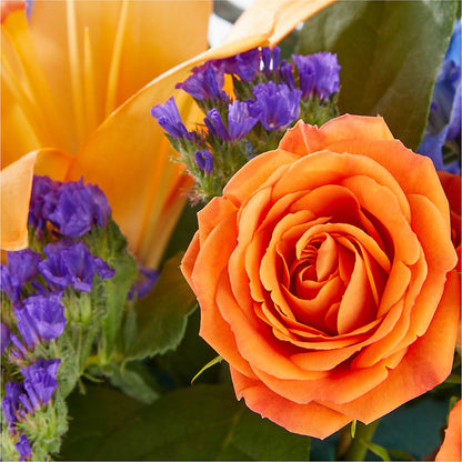 Radiant Citrus Box Bouquet – MAIN STREET FLORIST & GIFTS, Ridgefield CT