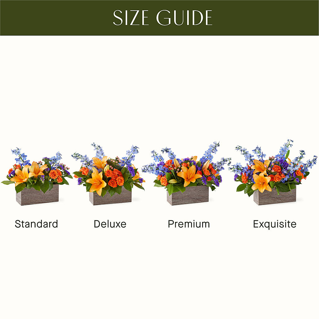 Radiant Citrus Box Bouquet – MAIN STREET FLORIST & GIFTS, Ridgefield CT
