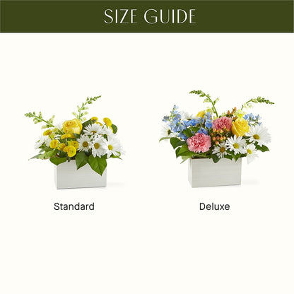 Sun Salutation Box Bouquet – MAIN STREET FLORIST & GIFTS, Ridgefield CT