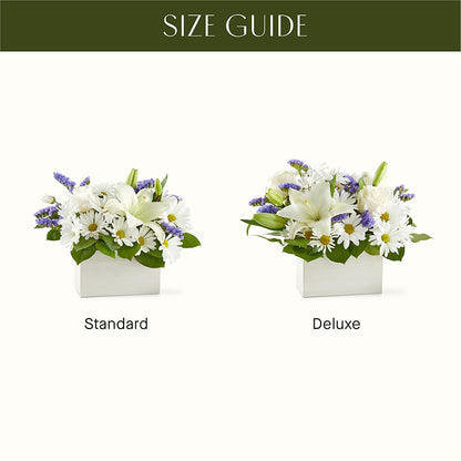 Beyond Blue Box Bouquet – MAIN STREET FLORIST & GIFTS, Ridgefield CT