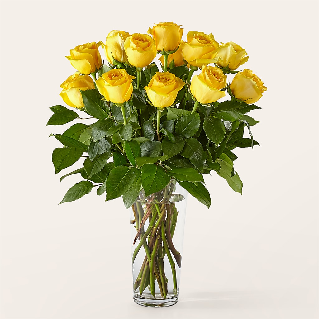 Long Stem Yellow Rose Bouquet – MAIN STREET FLORIST & GIFTS, Ridgefield CT