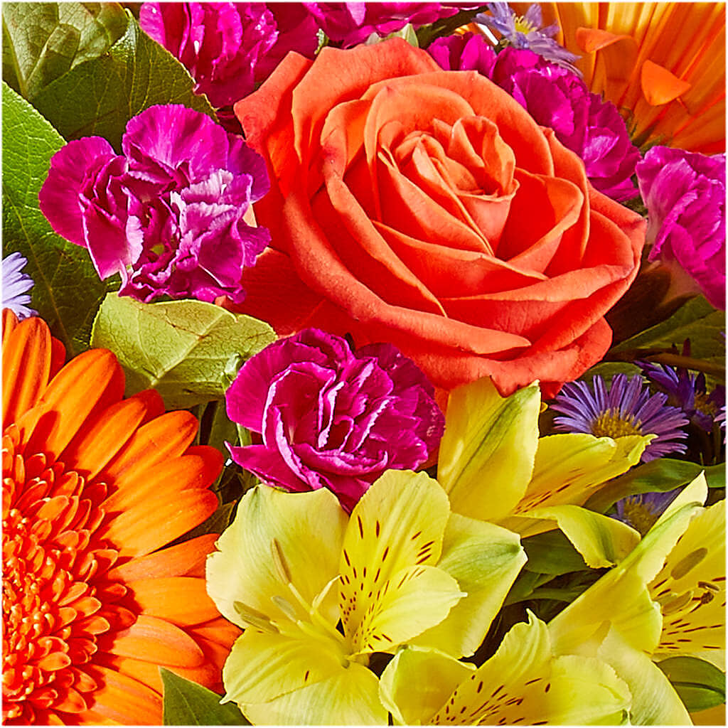 Tricks & Treats Pumpkin – MAIN STREET FLORIST & GIFTS, Ridgefield CT