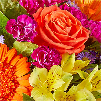 Tricks & Treats Pumpkin – MAIN STREET FLORIST & GIFTS, Ridgefield CT