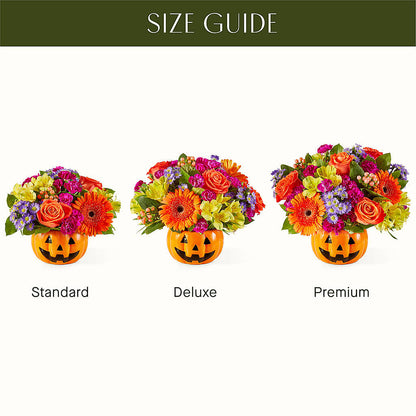 Tricks & Treats Pumpkin – MAIN STREET FLORIST & GIFTS, Ridgefield CT