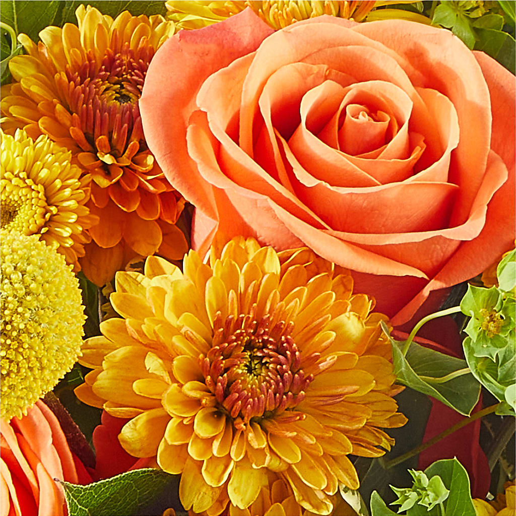 Gourdgeous Pumpkin – MAIN STREET FLORIST & GIFTS, Ridgefield CT