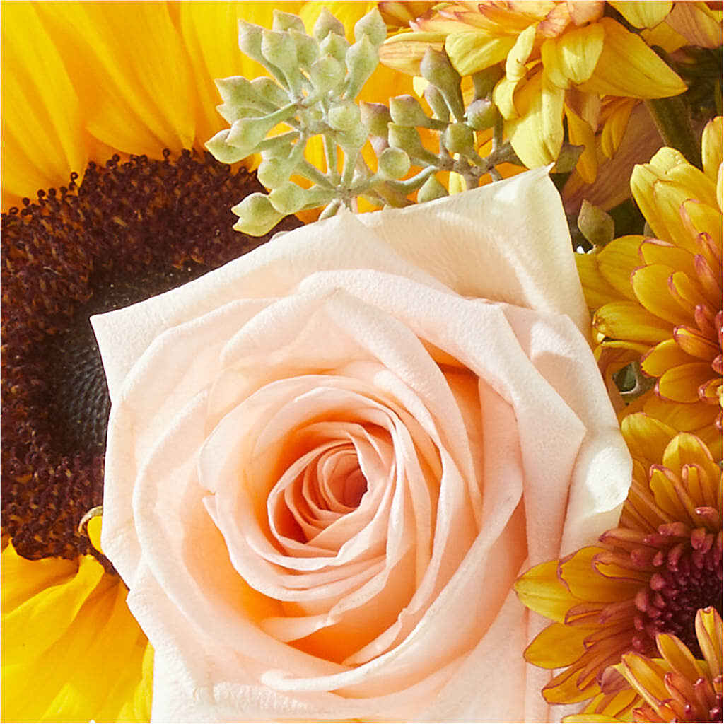 Pumpkin to Talk About Bouquet – MAIN STREET FLORIST & GIFTS, Ridgefield CT