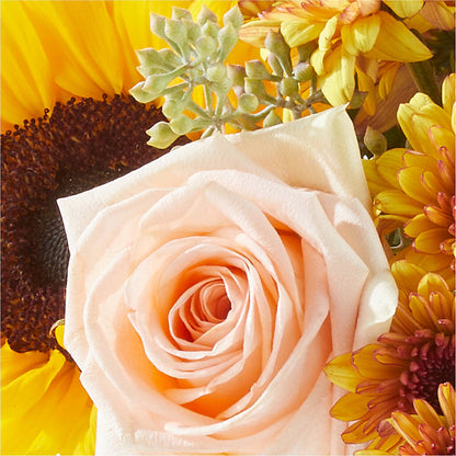 Pumpkin to Talk About Bouquet – MAIN STREET FLORIST & GIFTS, Ridgefield CT