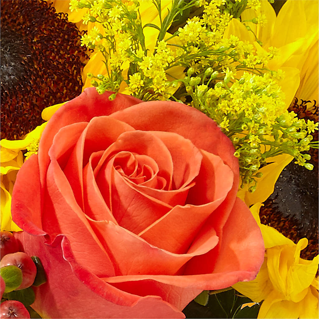 Pick of the Patch Pumpkin Bouquet – MAIN STREET FLORIST & GIFTS, Ridgefield CT