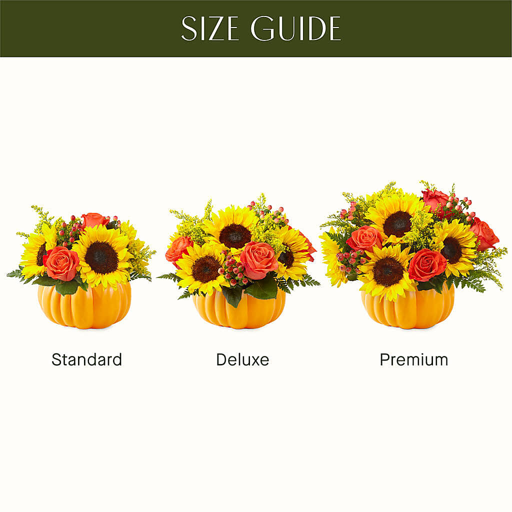 Pick of the Patch Pumpkin Bouquet – MAIN STREET FLORIST & GIFTS, Ridgefield CT