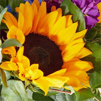 Catching Rays Bouquet – MAIN STREET FLORIST & GIFTS, Ridgefield CT