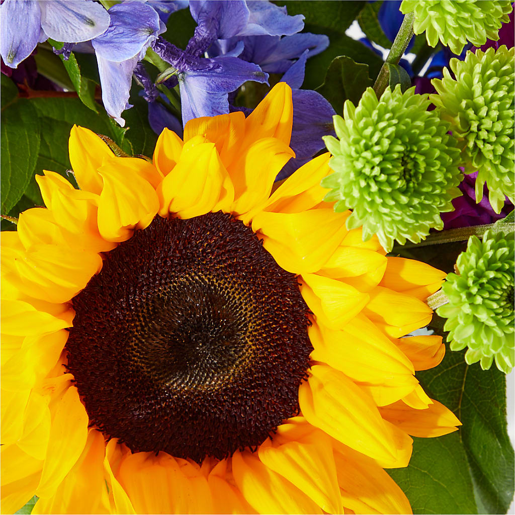 Catching Rays Bouquet – MAIN STREET FLORIST & GIFTS, Ridgefield CT