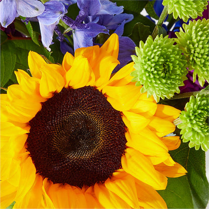 Catching Rays Bouquet – MAIN STREET FLORIST & GIFTS, Ridgefield CT