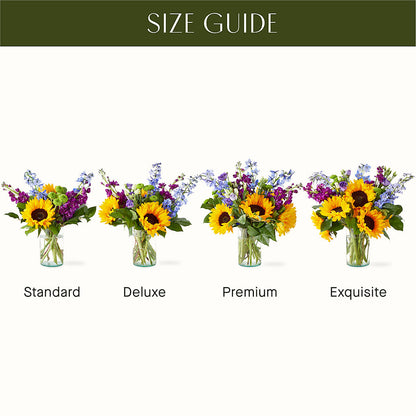 Catching Rays Bouquet – MAIN STREET FLORIST & GIFTS, Ridgefield CT