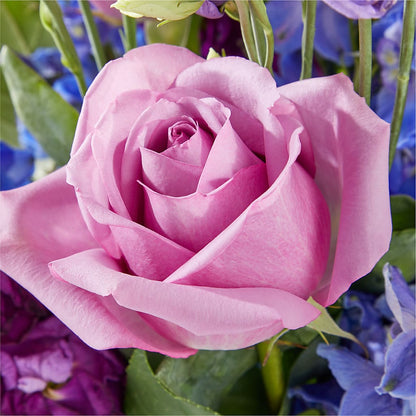 Twilight Glow Bouquet – MAIN STREET FLORIST & GIFTS, Ridgefield CT