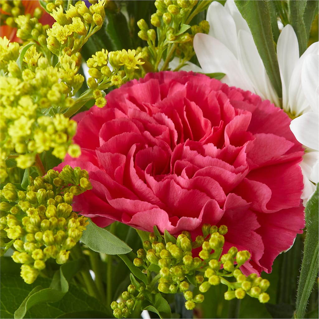 Oopsie Daisy Bouquet – MAIN STREET FLORIST & GIFTS, Ridgefield CT