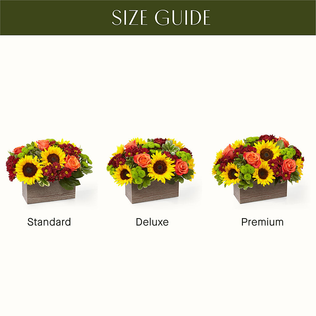 Happy Harvest Garden – MAIN STREET FLORIST & GIFTS, Ridgefield CT