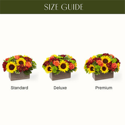 Happy Harvest Garden – MAIN STREET FLORIST & GIFTS, Ridgefield CT