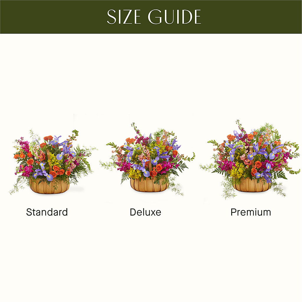 Garden of Life Basket – MAIN STREET FLORIST & GIFTS, Ridgefield CT