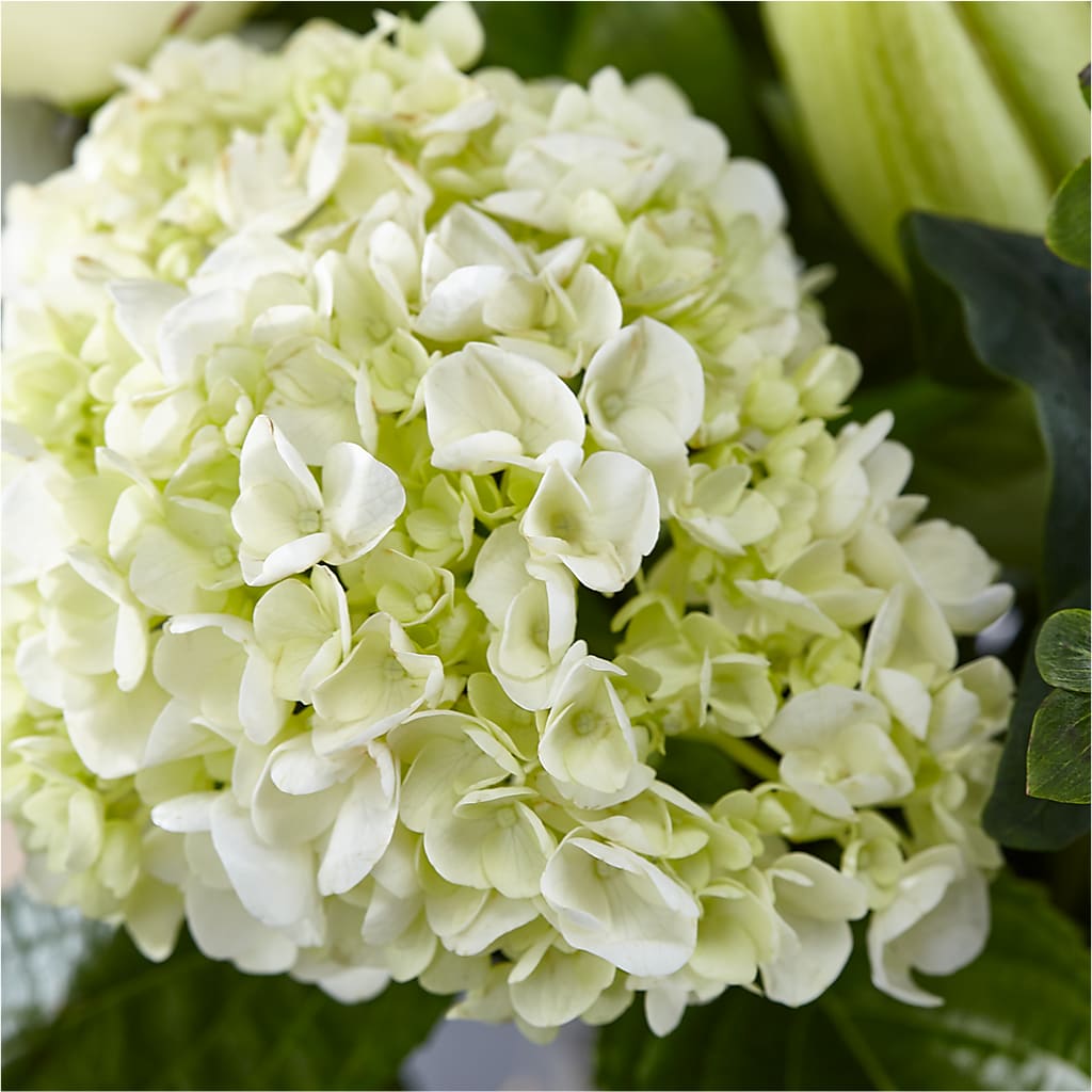 Classic Ivory – A Florist Original – MAIN STREET FLORIST & GIFTS, Ridgefield CT