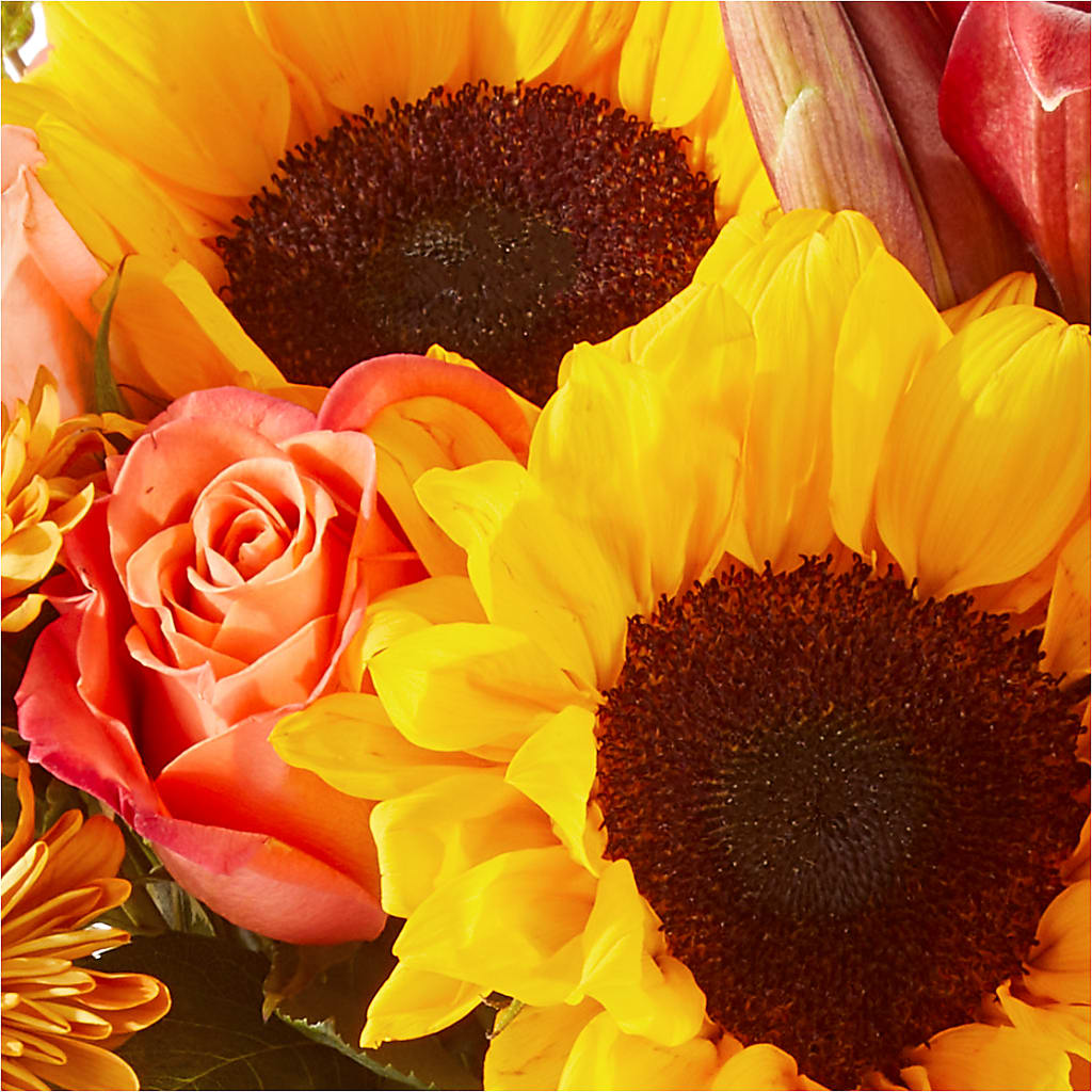 Acorn Lane Bouquet – MAIN STREET FLORIST & GIFTS, Ridgefield CT