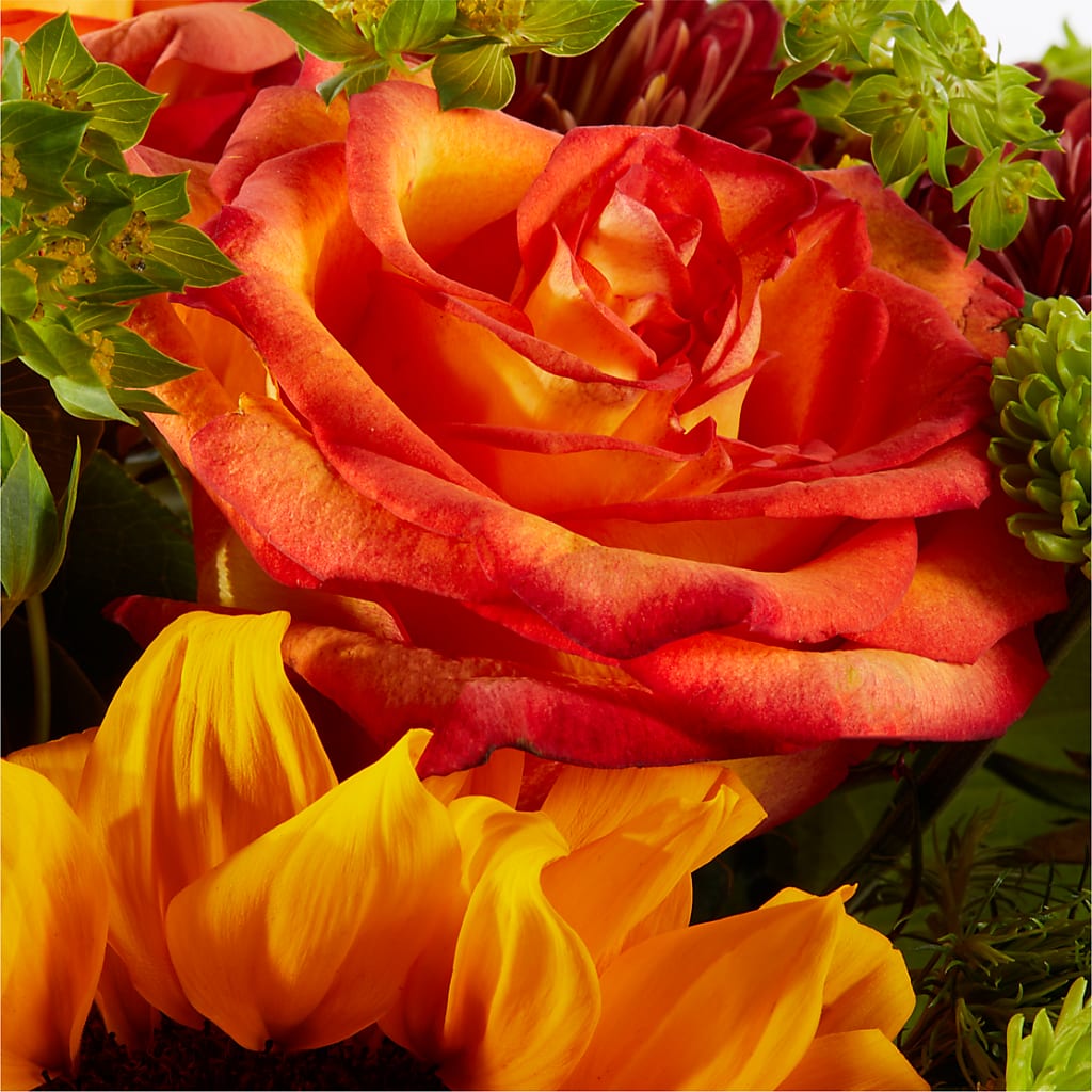 Harvest Festival Bouquet – MAIN STREET FLORIST & GIFTS, Ridgefield CT