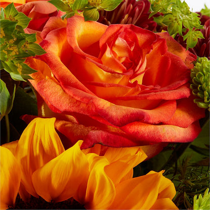 Harvest Festival Bouquet – MAIN STREET FLORIST & GIFTS, Ridgefield CT