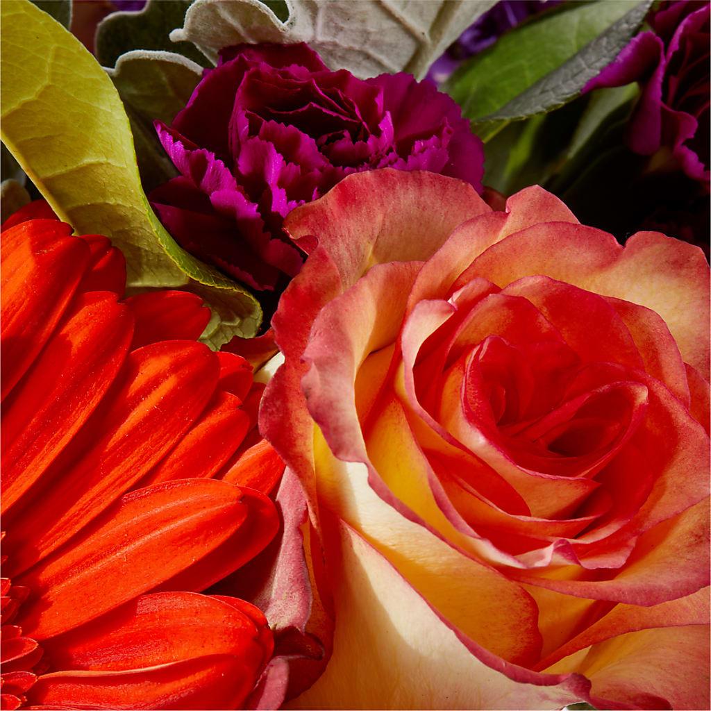 Sangria Bouquet – MAIN STREET FLORIST & GIFTS, Ridgefield CT